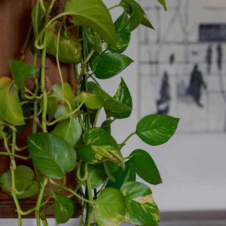 Casa D'Artista - Charming Apartment + Parking Turijn Buitenkant foto